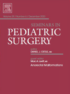 Cover of the December issue of Seminars on Pediatric Surger