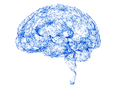 brain network illustration
