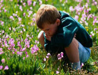 boy in field with flowers